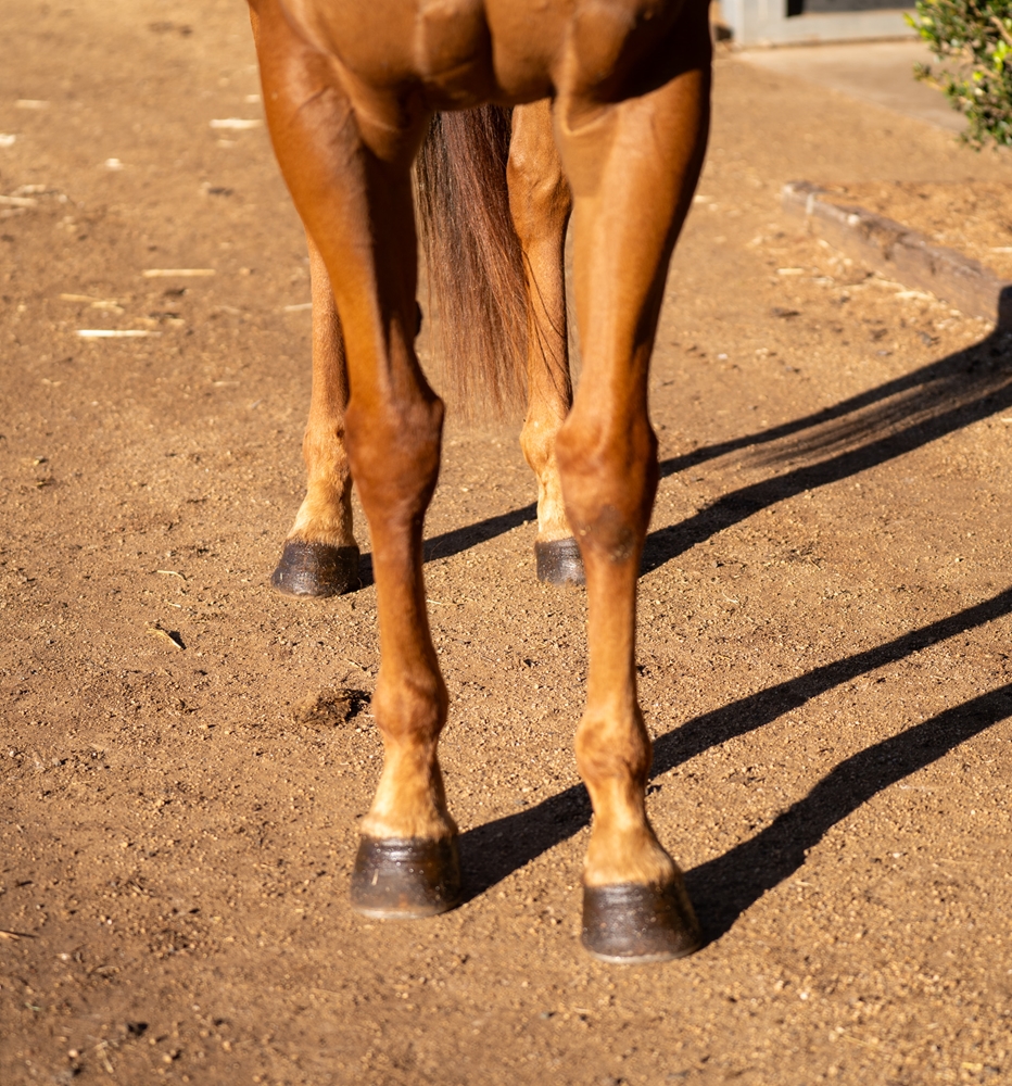 Mixed Spice (AUS) - Image 2