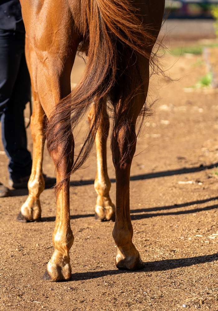 Mixed Spice (AUS) - Image 3