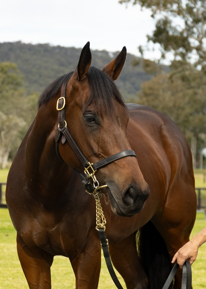 Olentia (AUS) - Image 2