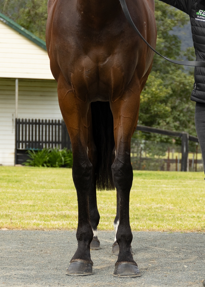 Olentia (AUS) - Image 3