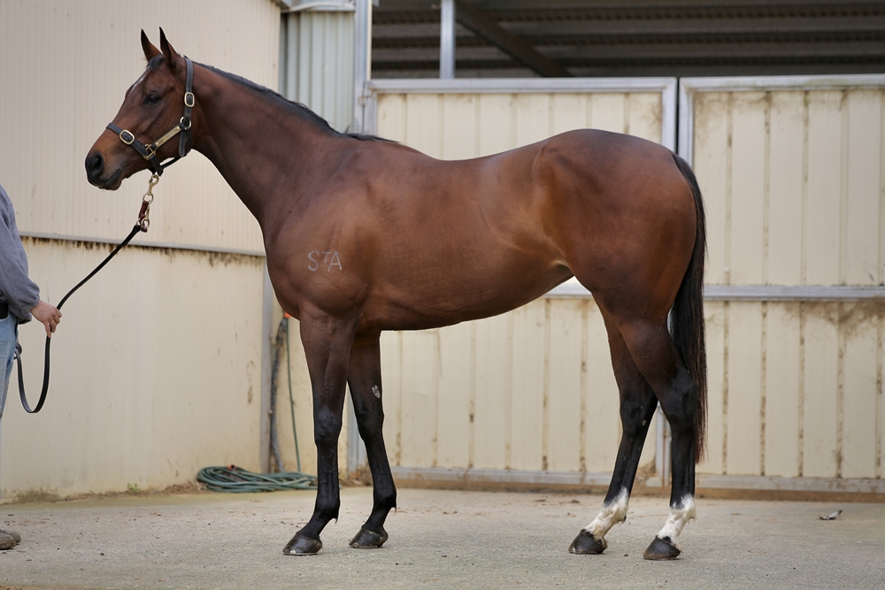 Telescope (AUS) - Image 1