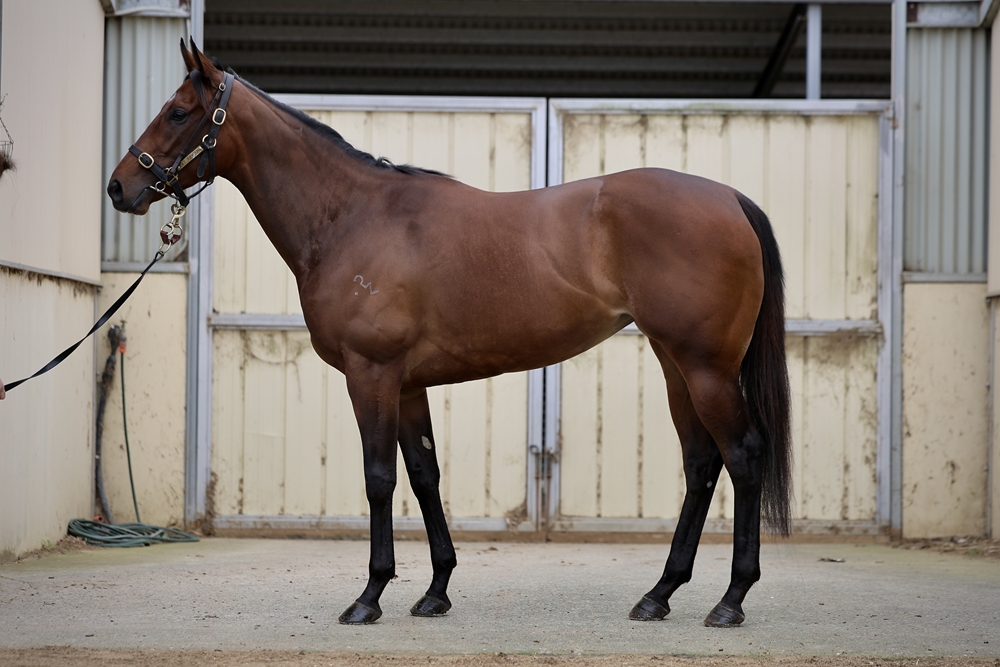 Express Yo'self (AUS) - Image 1