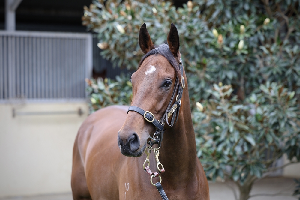 Express Yo'self (AUS) - Image 2