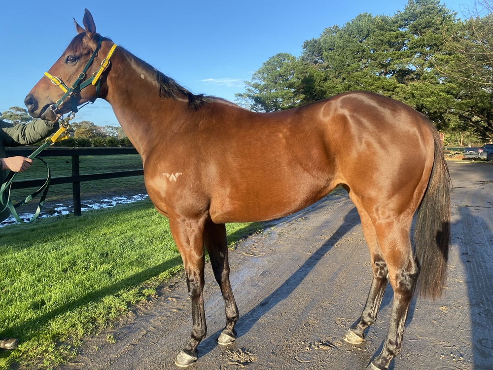 Beour Bay (AUS) - Image 1