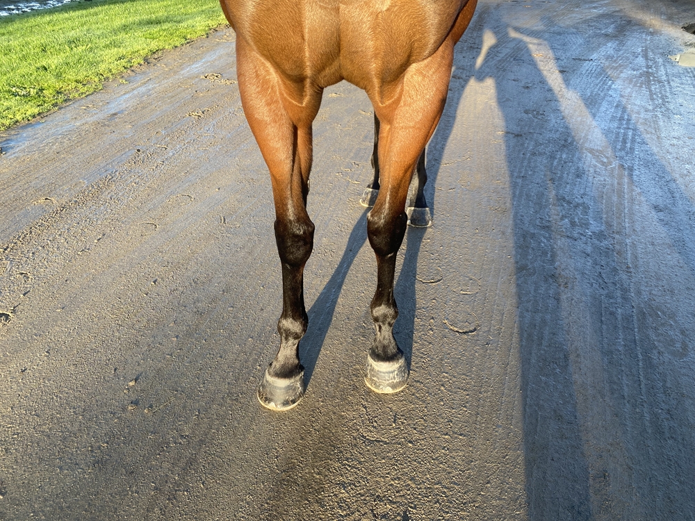 Beour Bay (AUS) - Image 3