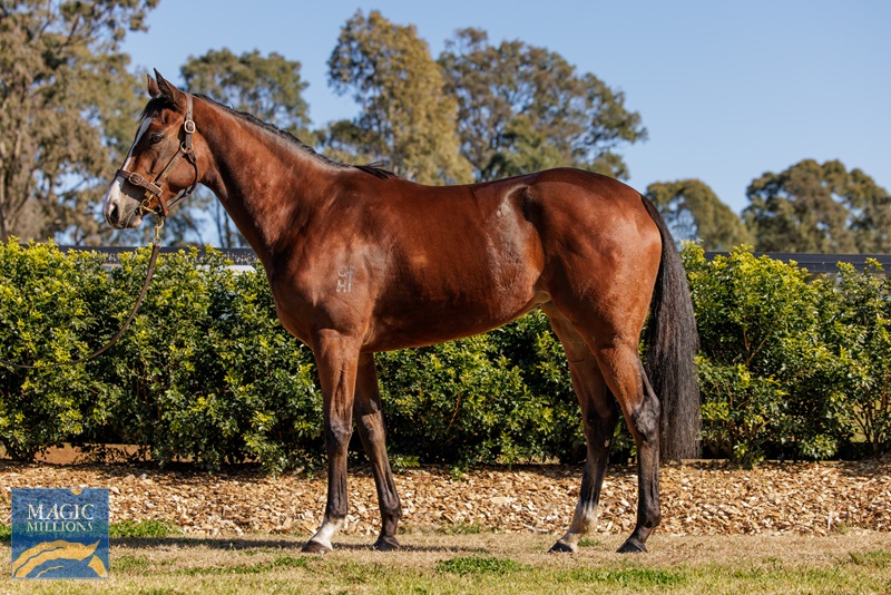 Sagaponack1.jpg - Image 1