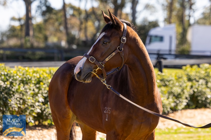 Sagaponack2.jpg - Image 2