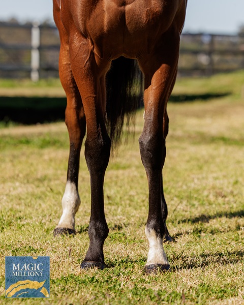 Sagaponack3.jpg - Image 3