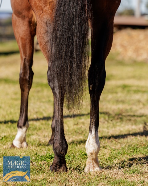 Sagaponack4.jpg - Image 4