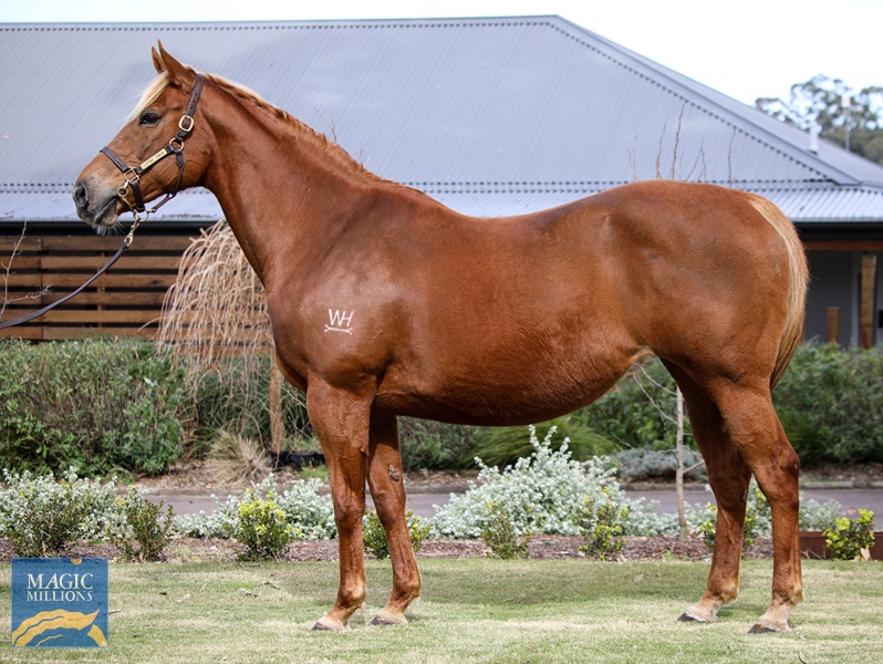 Lustre Lodge Champ Elect C.jpg - Image 1