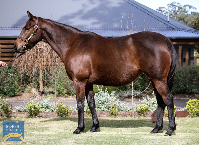 Lustre Lodge Mum's Fault C.jpg - Image 1