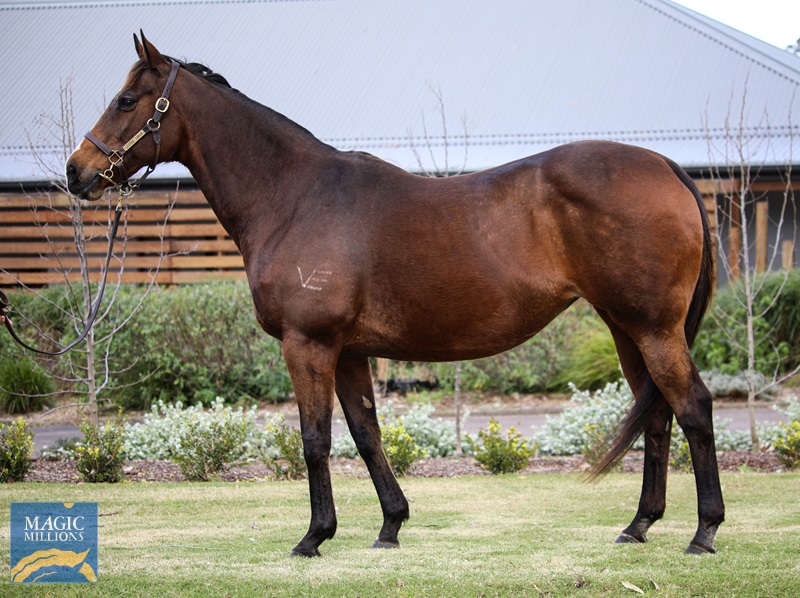 Lustre Lodge Crystal Rock C.jpg - Image 1