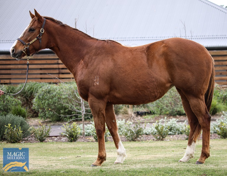 Lustre Lodge Zorocat C.jpg - Image 1