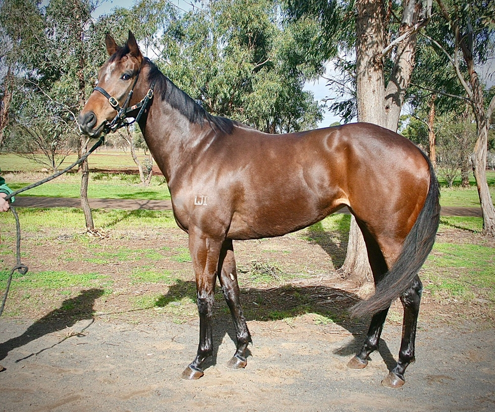 Flattered (AUS) - Image 1