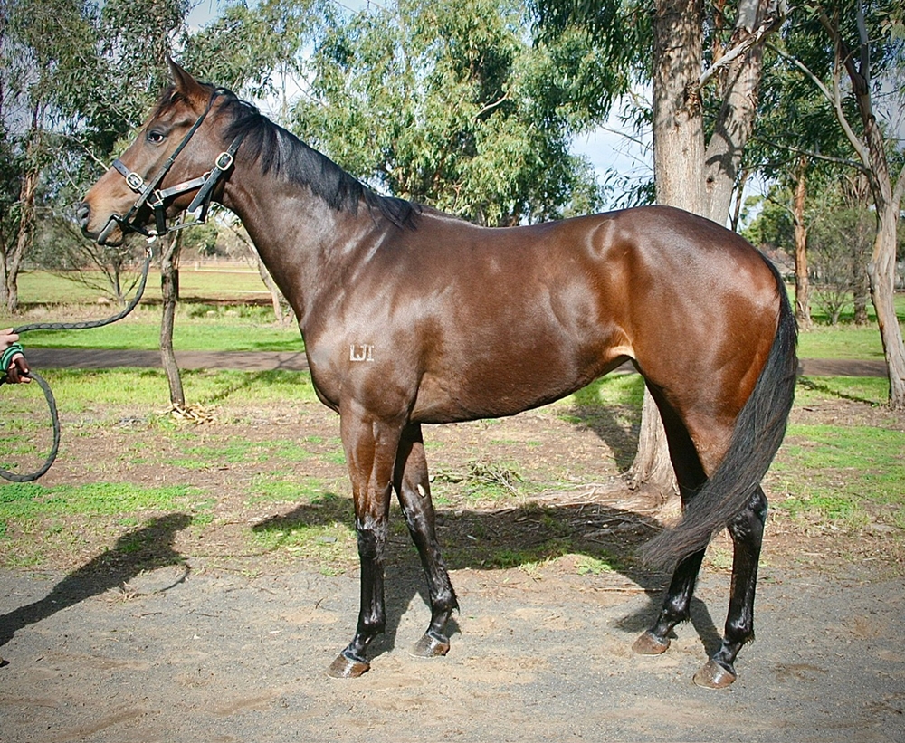 Flattered (AUS) - Image 2