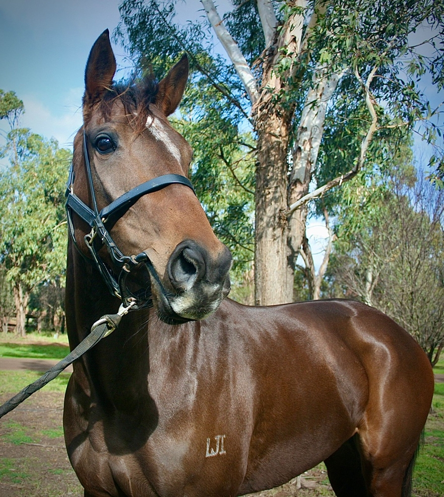 Flattered (AUS) - Image 5