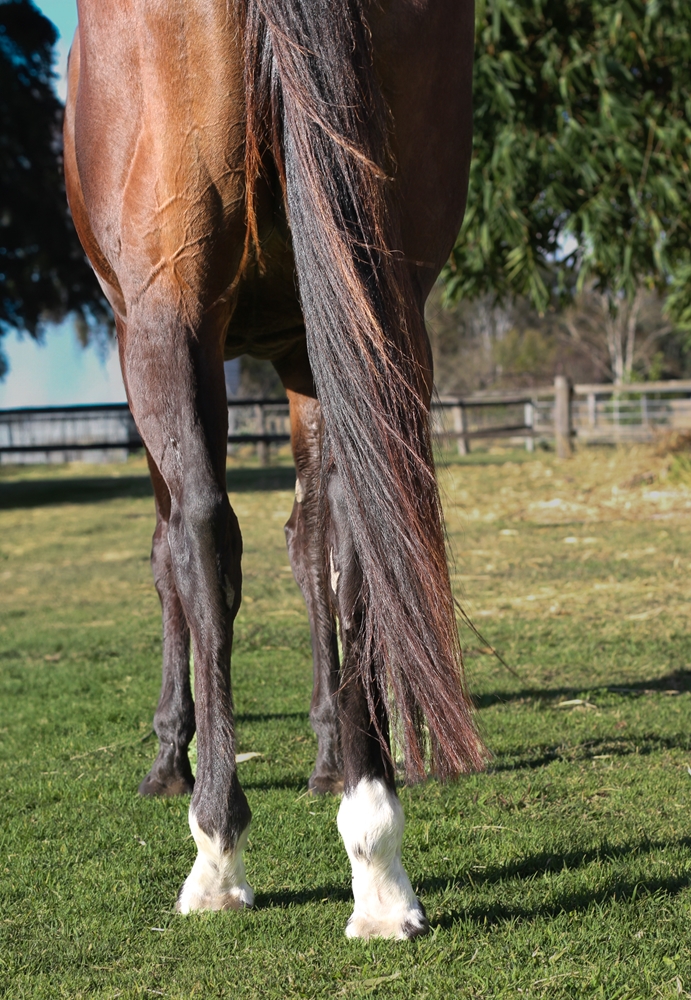 Enterprise Lucia (AUS) - Image 3