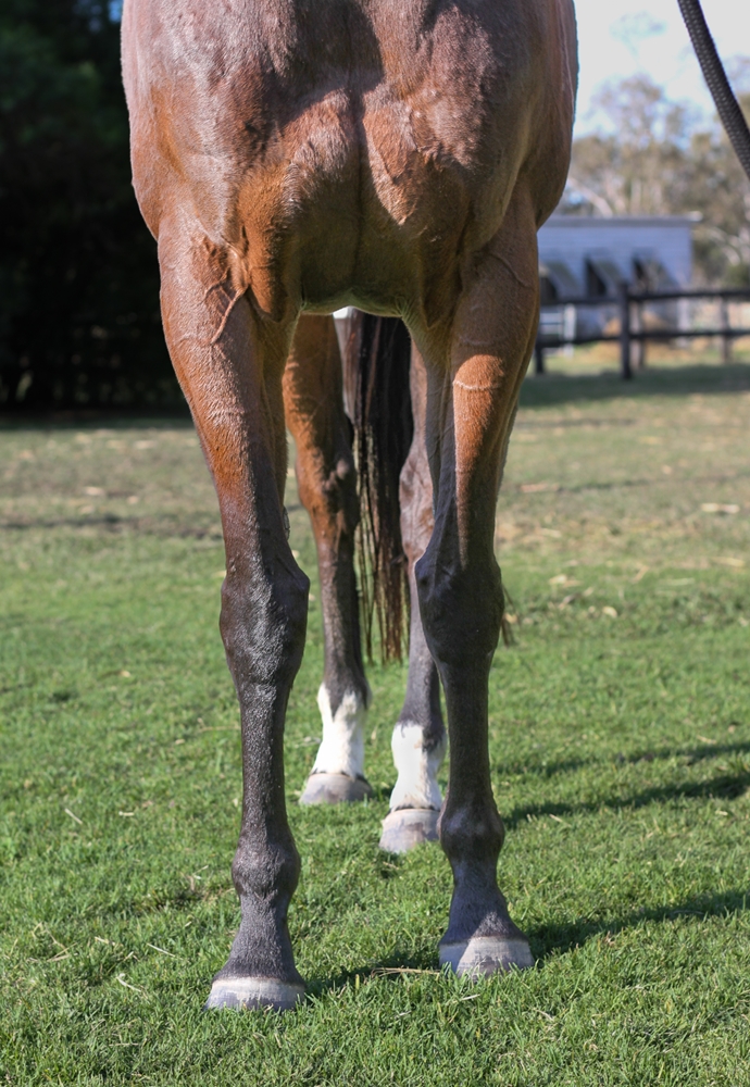 Enterprise Lucia (AUS) - Image 4