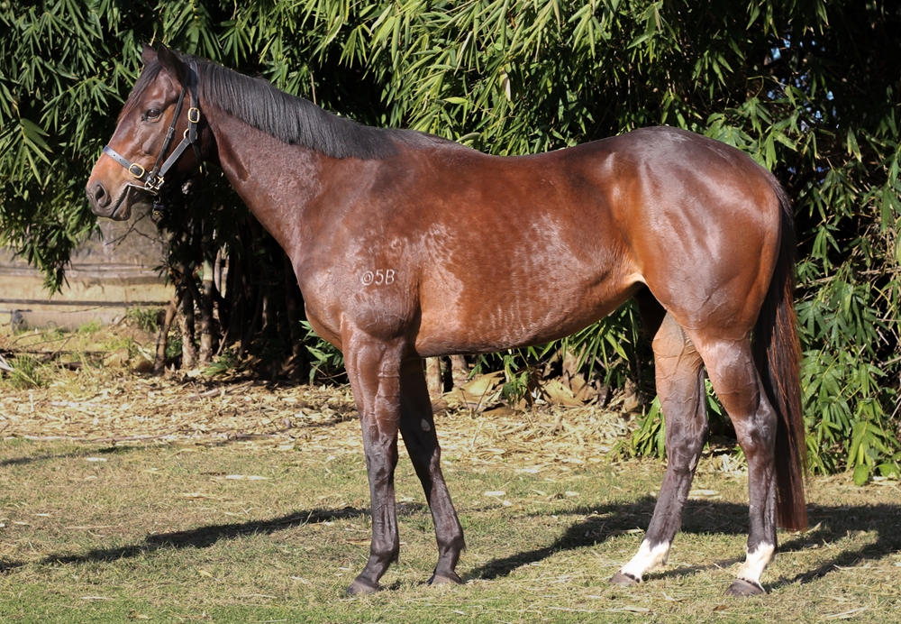 Enterprise Lucia (AUS) - Image 5