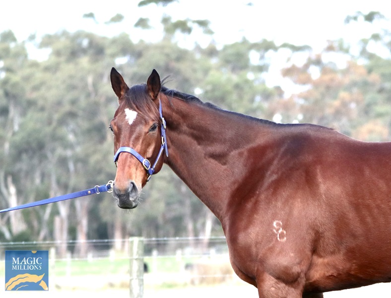 IMG_0275 2.jpg - Image 2