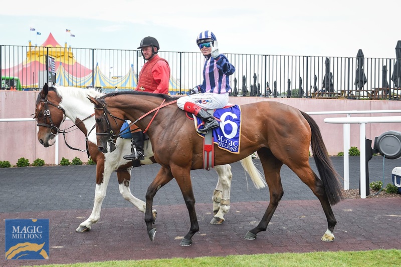 rr7_8081.jpg - Image 3