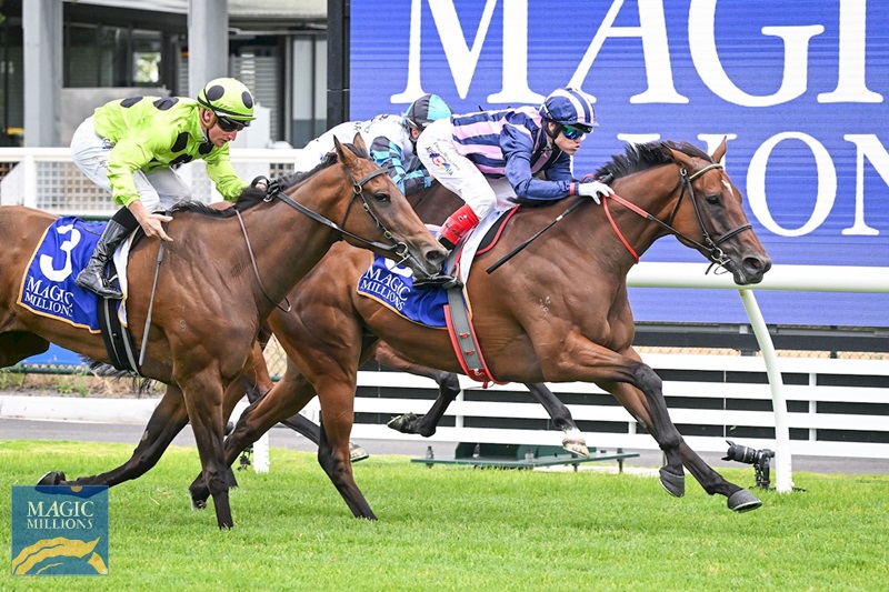 Regal Vow Lord Stakes.jpg - Image 4