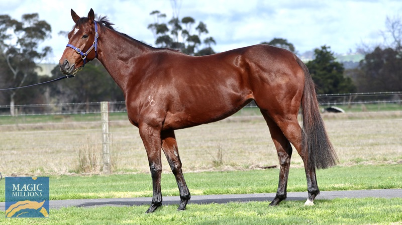 IMG_0259.jpg - Image 4