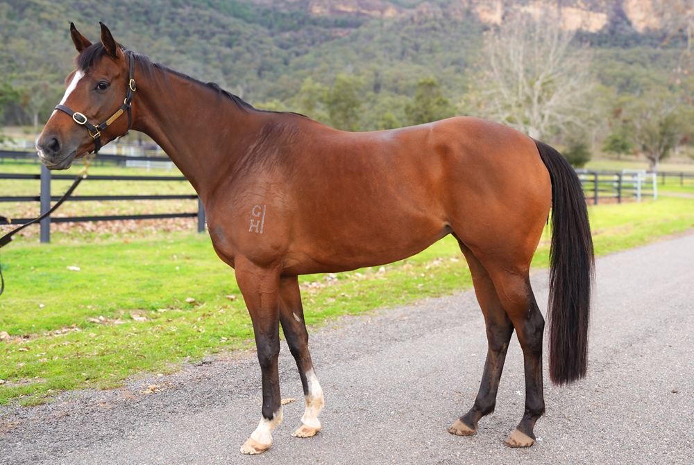 Lucky Straand (AUS) - Image 1