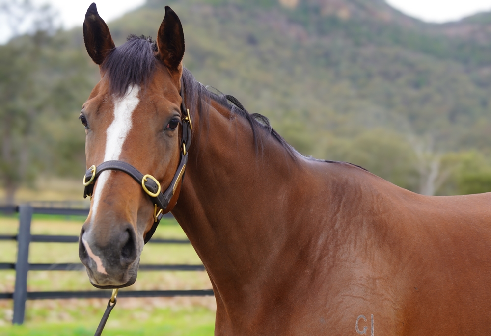 Lucky Straand (AUS) - Image 2