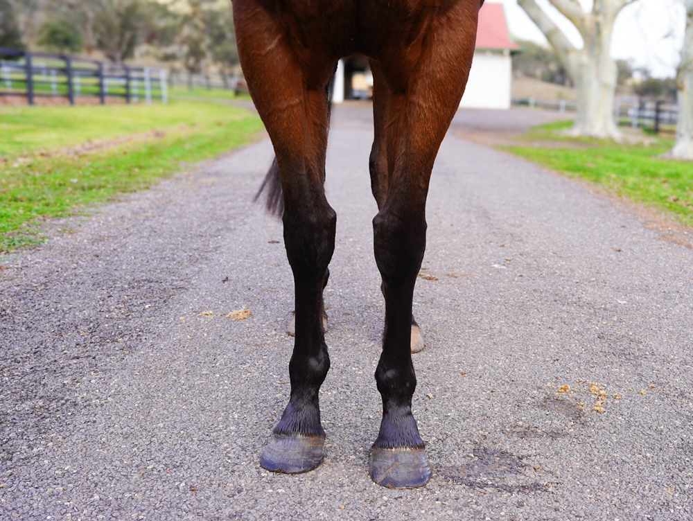 The Other Straand (AUS) - Image 3