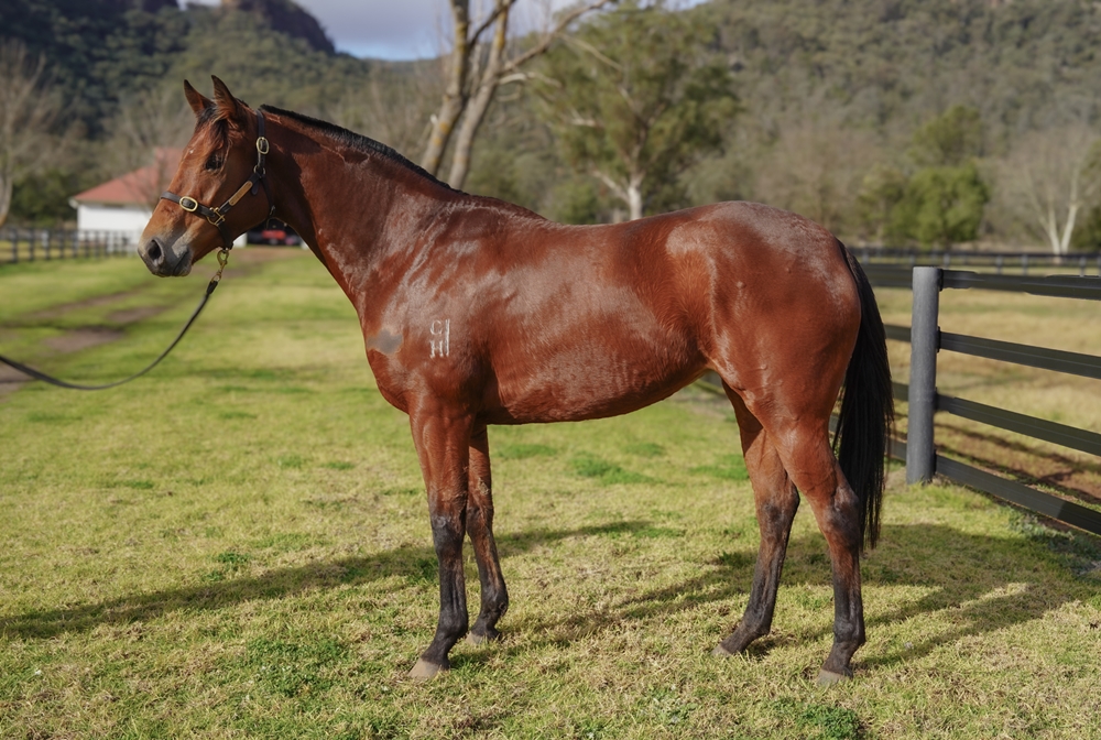 Snitz and Straand (AUS) - Image 1