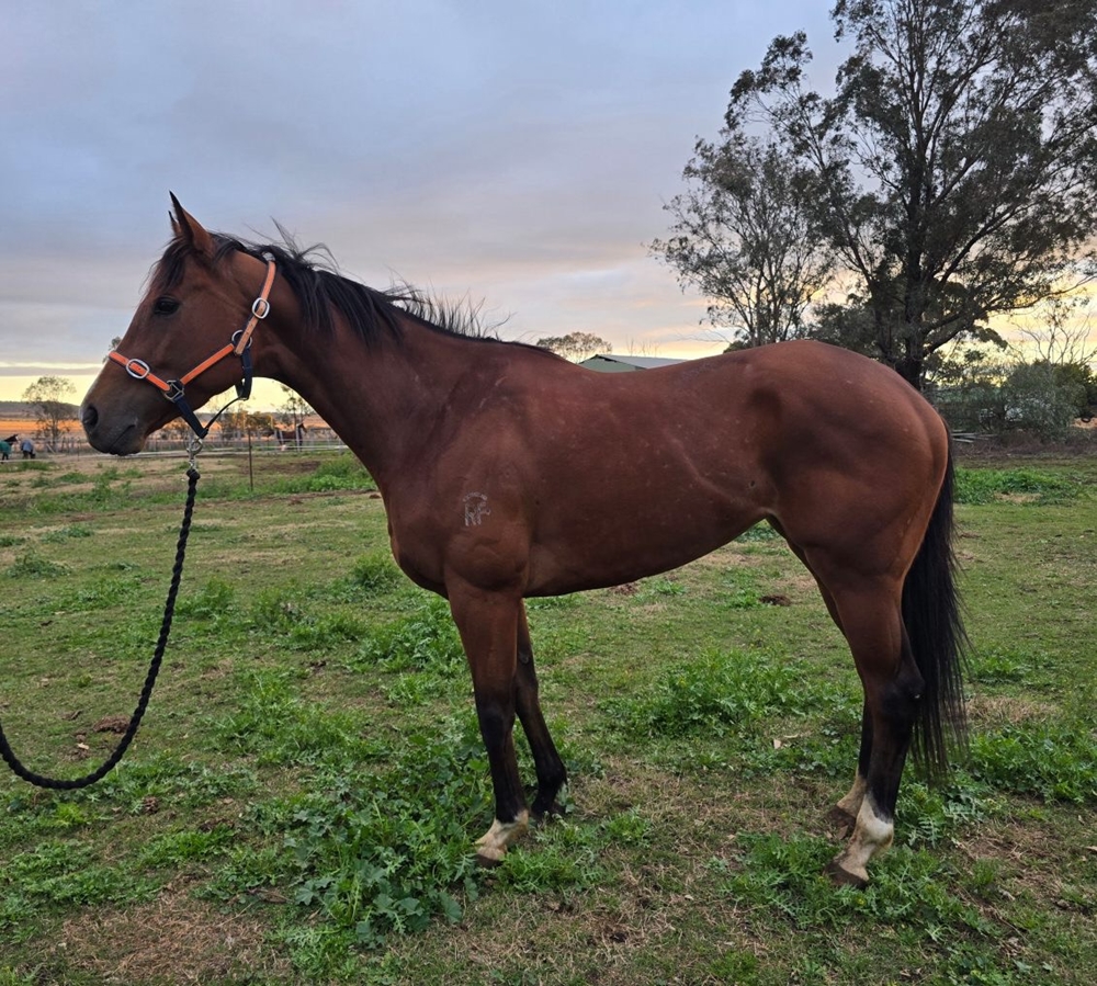 Uluwatu (AUS) - Image 1