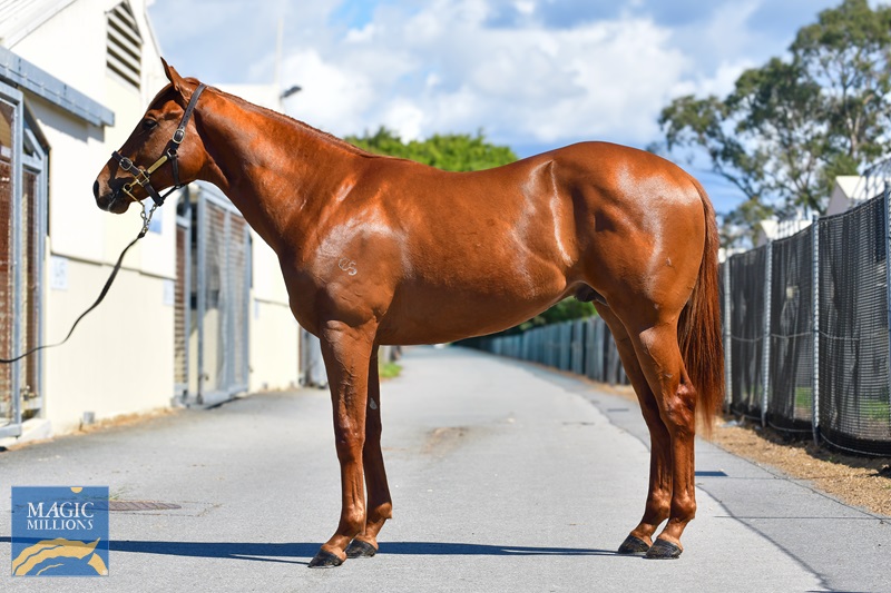 DSC_5473.jpg - Image 1