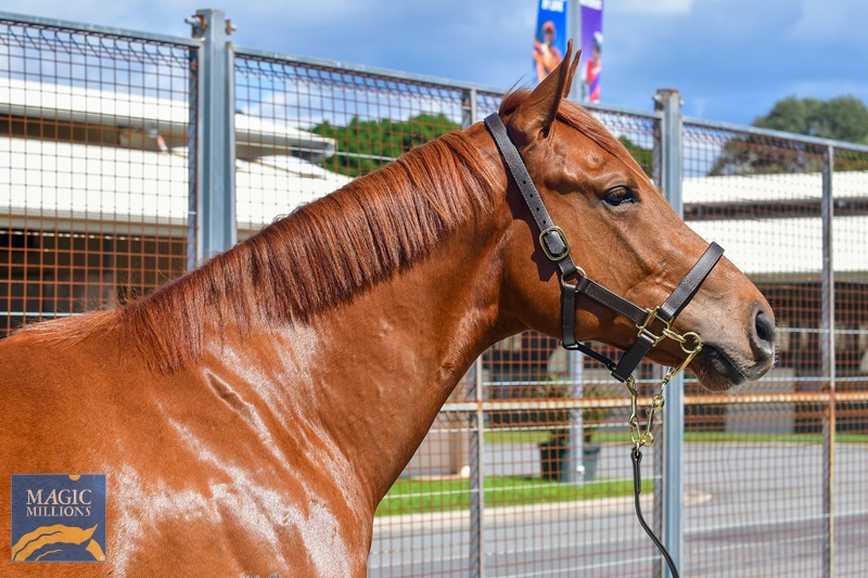 DSC_5652.jpg - Image 2