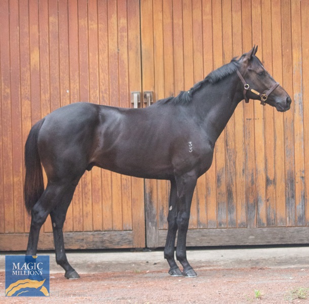 IMG_0976(1)(1).jpg - Image 1