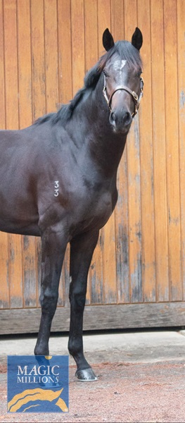 IMG_0979(1).jpg - Image 2