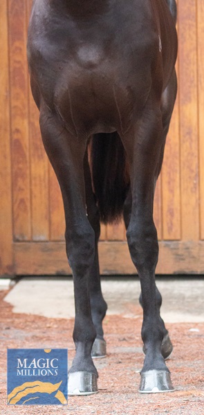 IMG_0987.jpg - Image 3