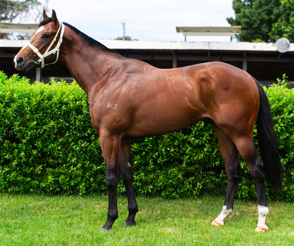 Spirit of St Louis (AUS) - Image 1