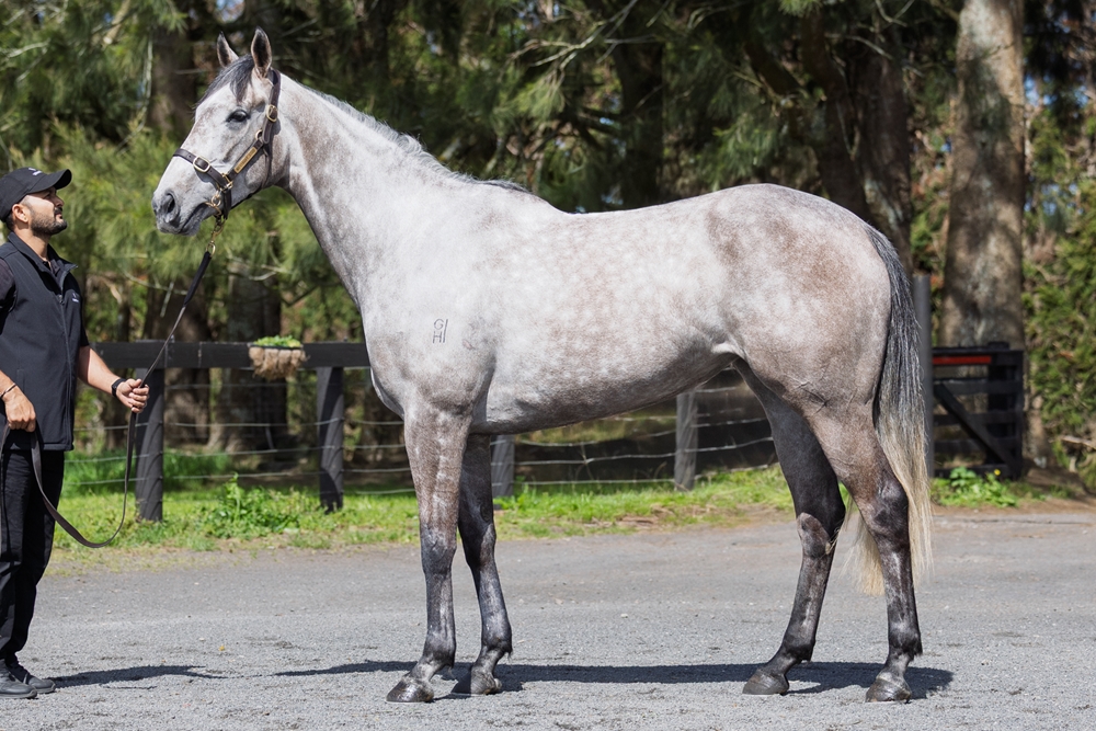 White Mask (NZ) - Image 1