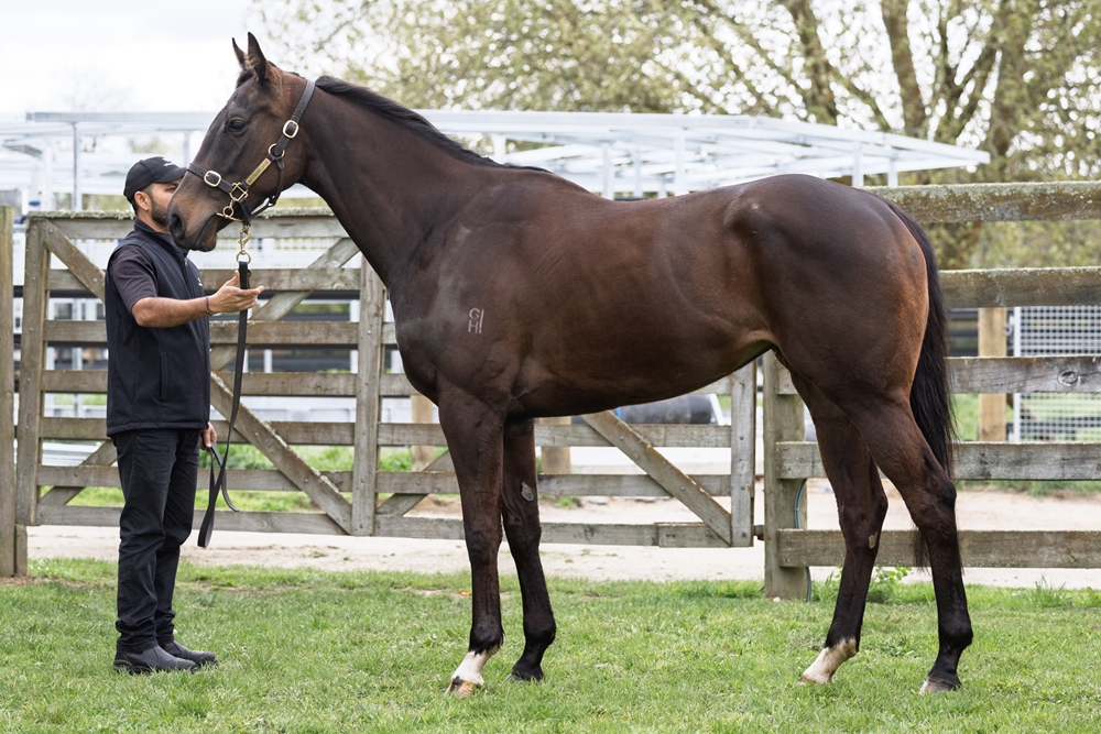 Catoca (NZ) - Image 1