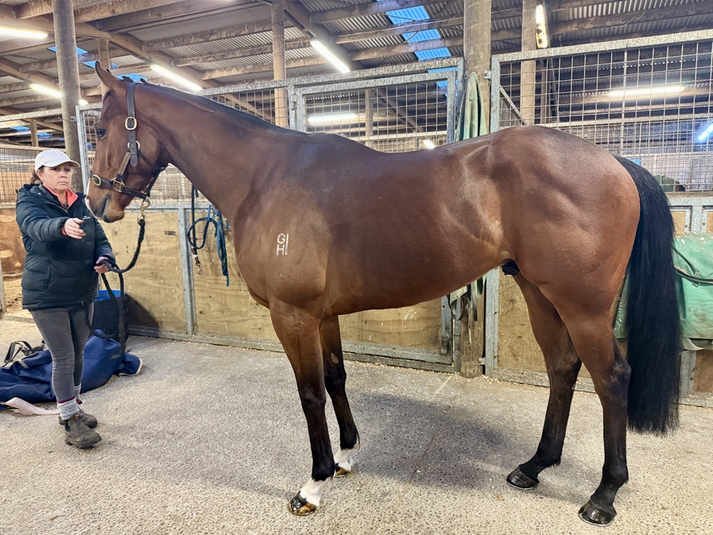 Reservoir (NZ) - Image 1