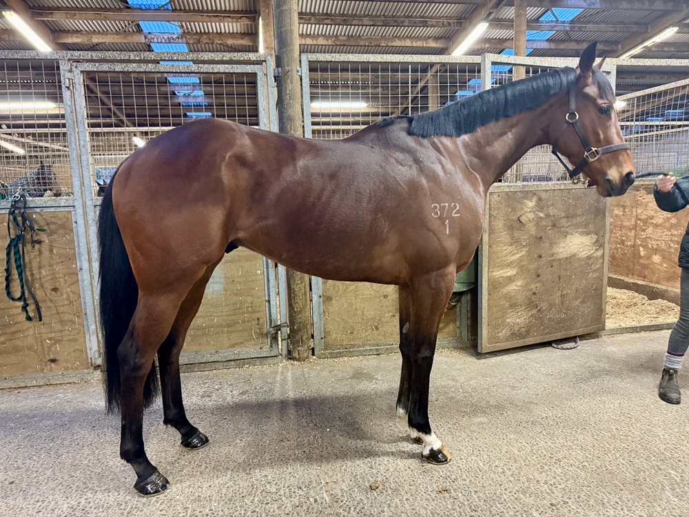 Reservoir (NZ) - Image 2