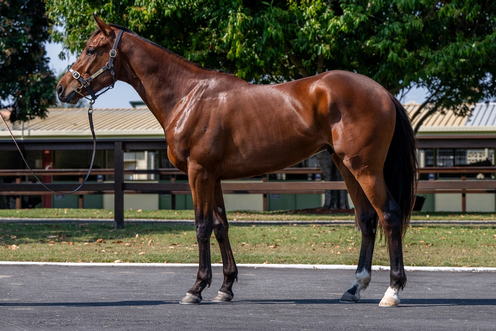 Invader (AUS) / Party (AUS) 2022 G - Image 1