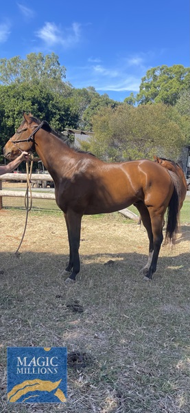 IMG_1938.jpg - Image 1