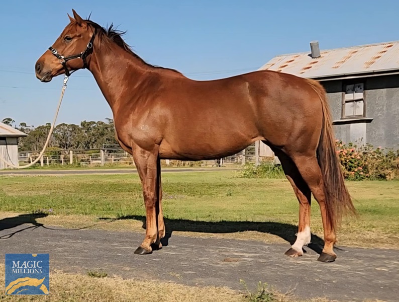 Messenger_creation_BB2EC103-536C-4711-B6ED-ABF8B309F912.jpg - Image 1