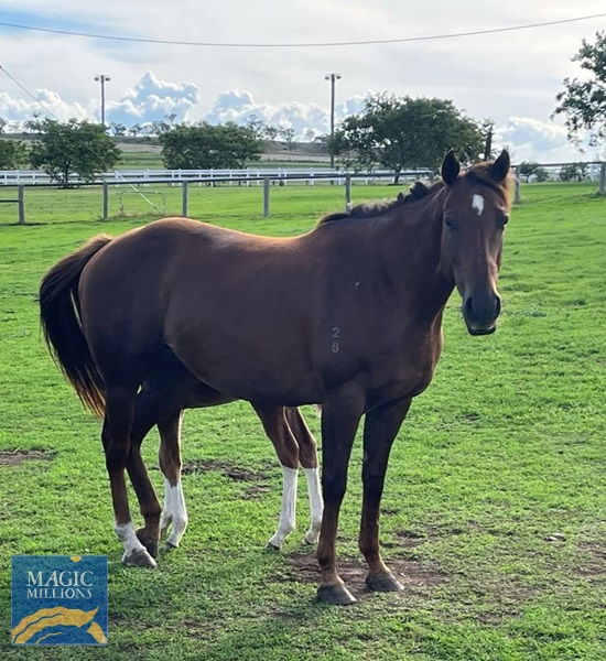 FB_IMG_1750979962029.jpg - Image 3