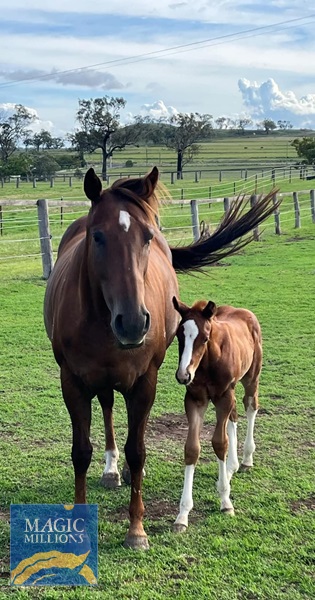 FB_IMG_1750979963934.jpg - Image 4