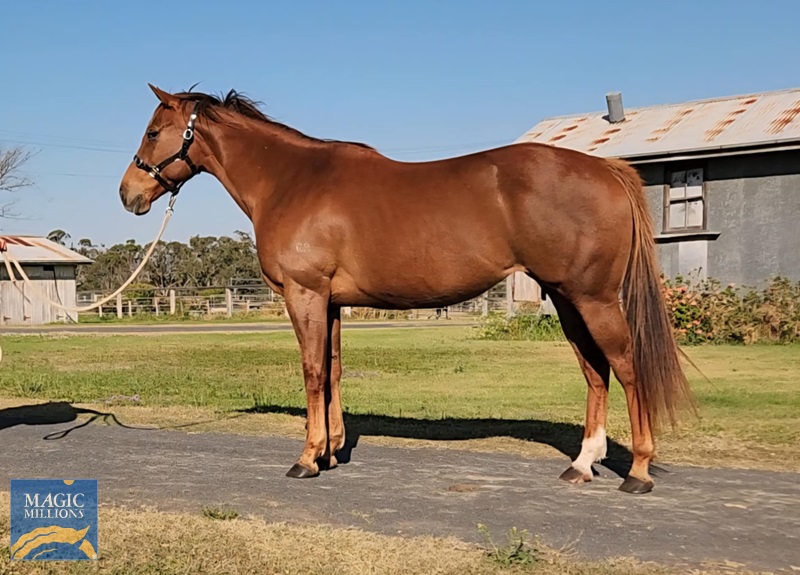 Messenger_creation_F355A61F-79A2-425B-9844-2528EDAB15CC.jpg - Image 4