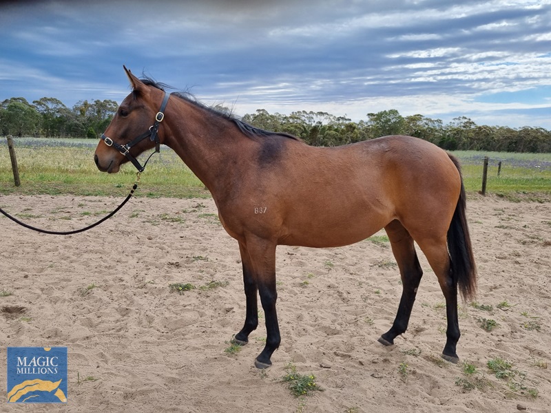 20251019_101608.jpg - Image 1