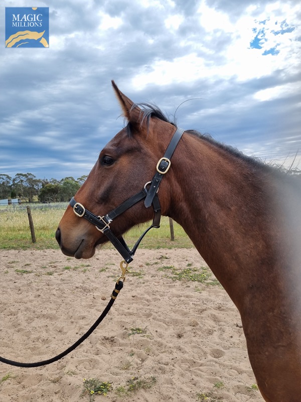 20251019_101412.jpg - Image 2